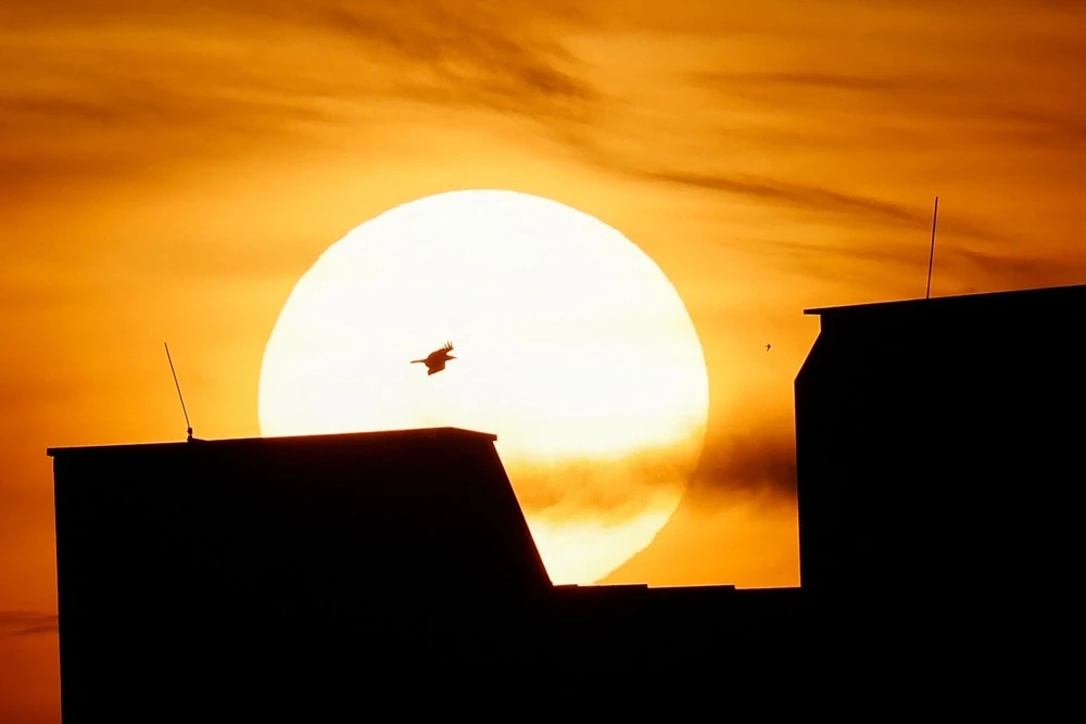 Last year’s record temperatures were so unusual that scientists have been debating what’s behind the big jump and whether climate change is accelerating or if other factors are in play. (AFP)