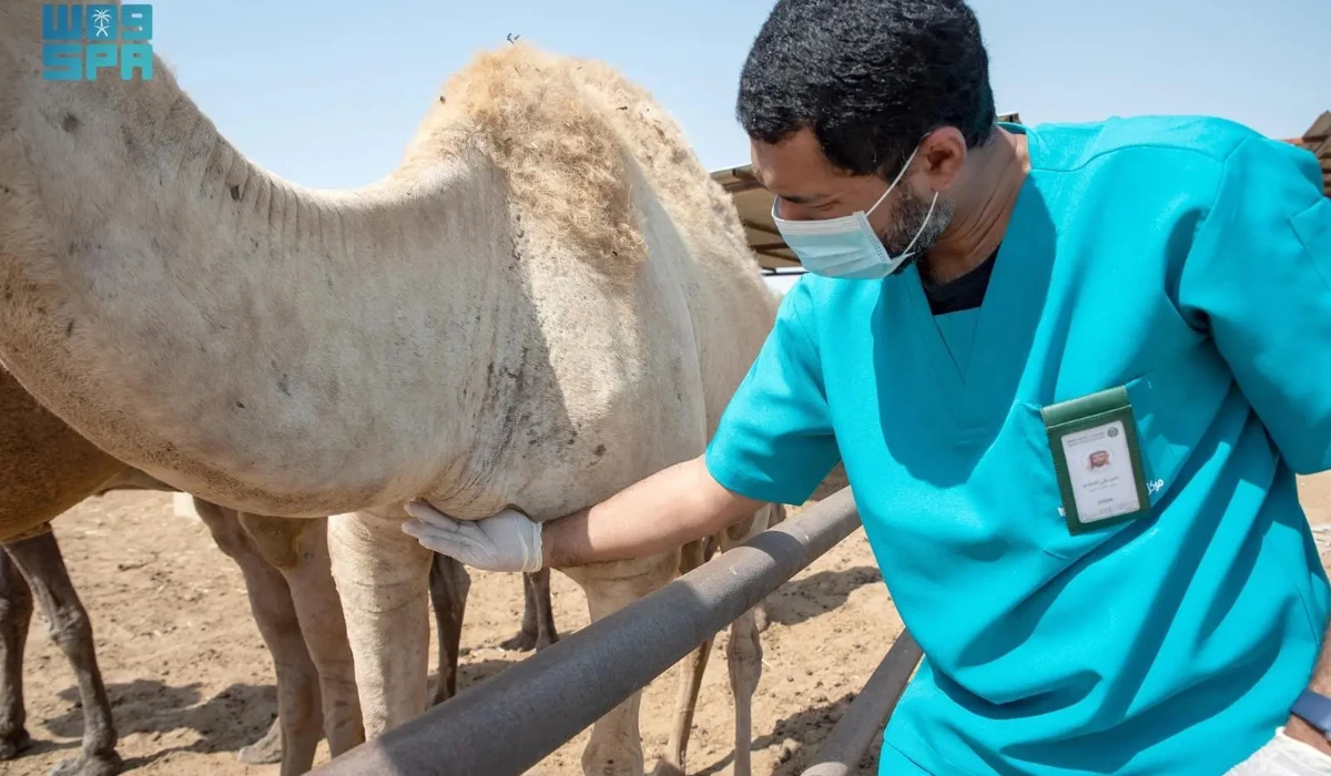 A campaign aimed at preventing and controlling plant pests and animal diseases is continued in the Eastern Province of Saudi Arabia. (SPA)