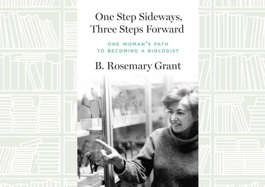 What We Are Reading: ‘One Step Sideways, Three Steps Forward’