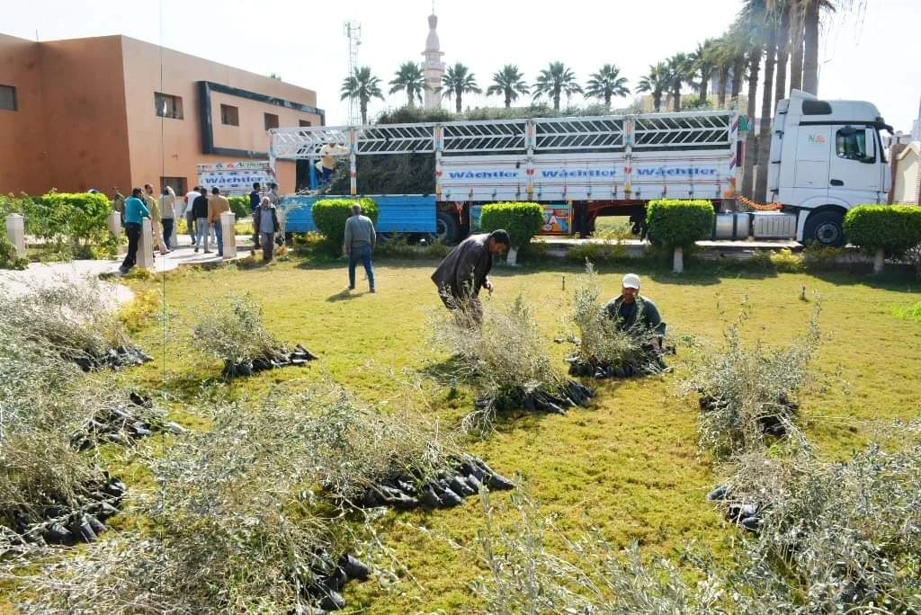 Several Egyptian ministries have initiated the “100 Million Trees” campaign across the country in response to its climate challenges and rising population, as part of a nationwide strategy to increase per-capita green space. (X/@EgyProjects/File)