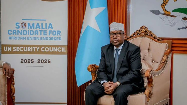 Somalia FM Ahmed Ahmed Moallim Fiqi. (X/@MOFASomalia)
