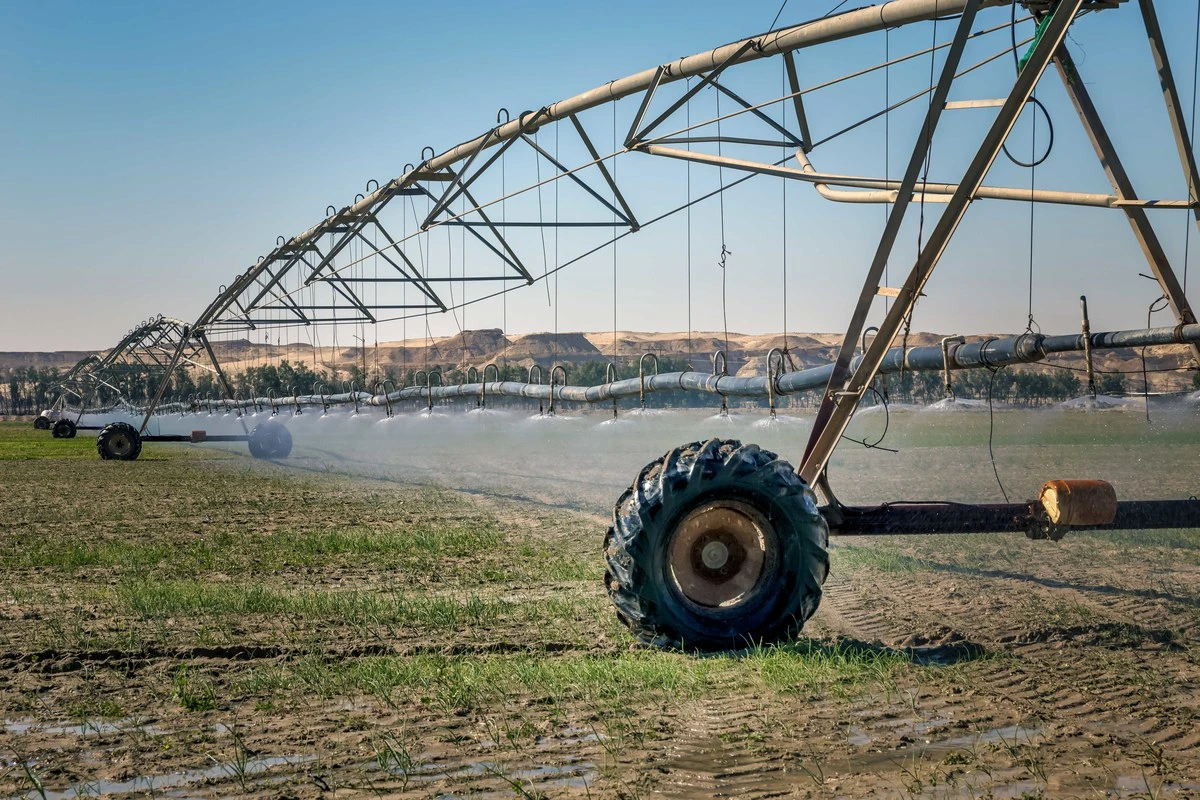 Agriculture consumes around 85 percent of Saudi Arabia’s water. (Shutterstock)