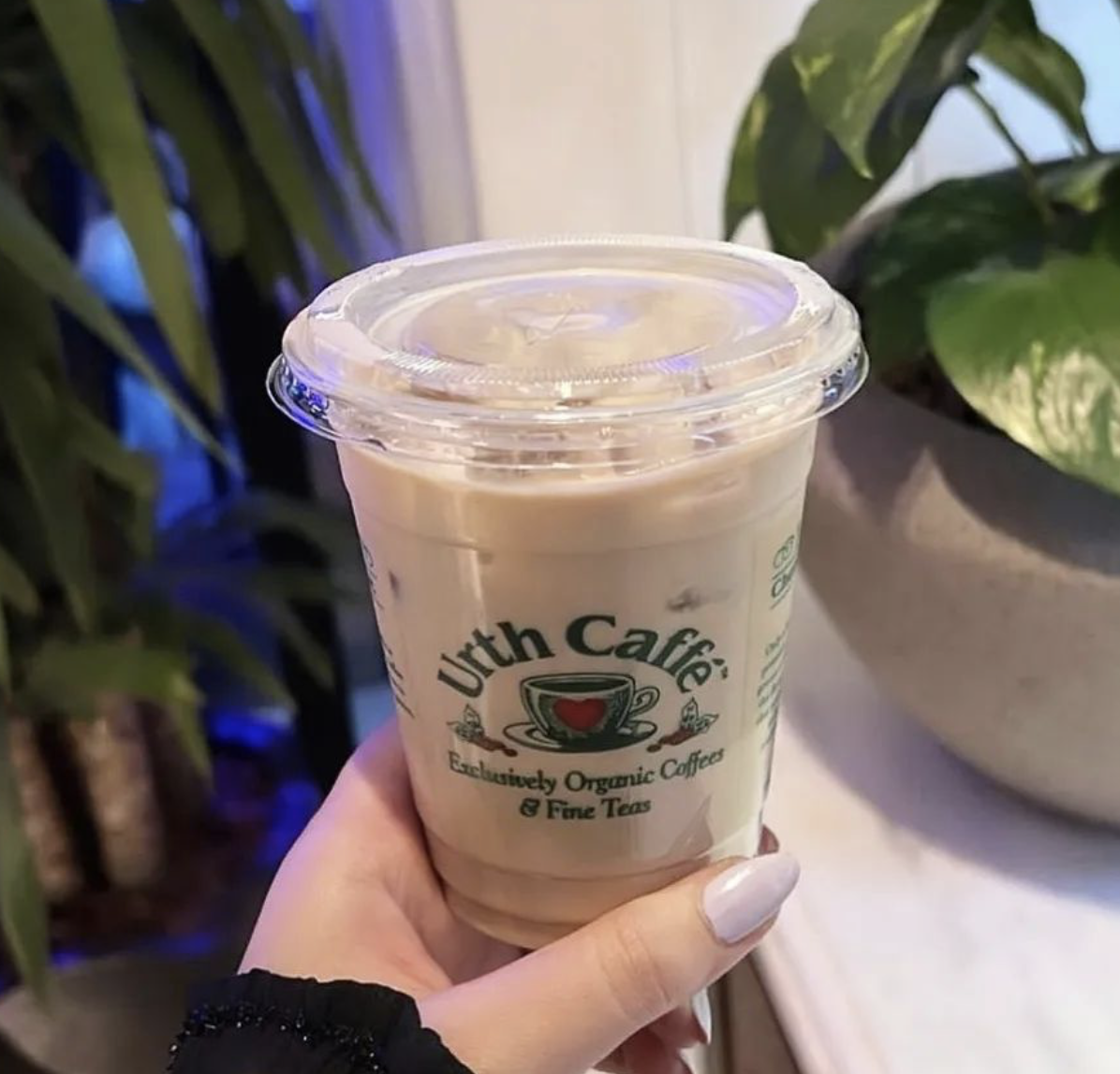 Urth Caffe