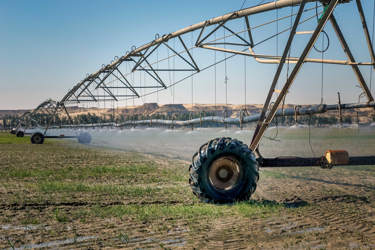 Agriculture consumes around 85 percent of Saudi Arabia’s water. (Shutterstock)