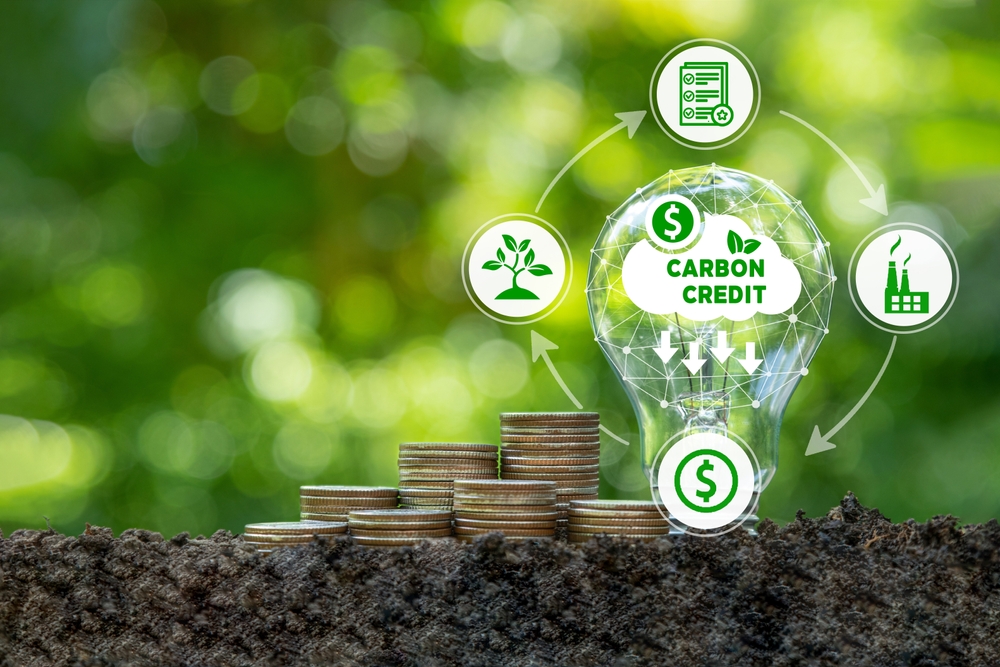 Global carbon credit market set to reach $100bn by 2035: Oliver Wyman