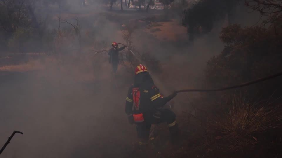 Greek firefighters were battling a wildfire south of Athens on Sunday (June 30) amid strong winds, just hours after managing to contain blazes in a mountainous area also near the capital as well as on an island in the Aegean Sea.