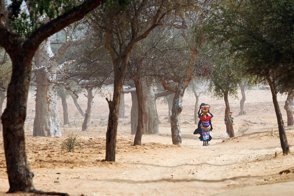 Militants attacked the village of Djiguibombo, several dozen kilometers from the town of Bandiagara, above, and the security situation there prevented authorities from going to the site. (AFP file photo)