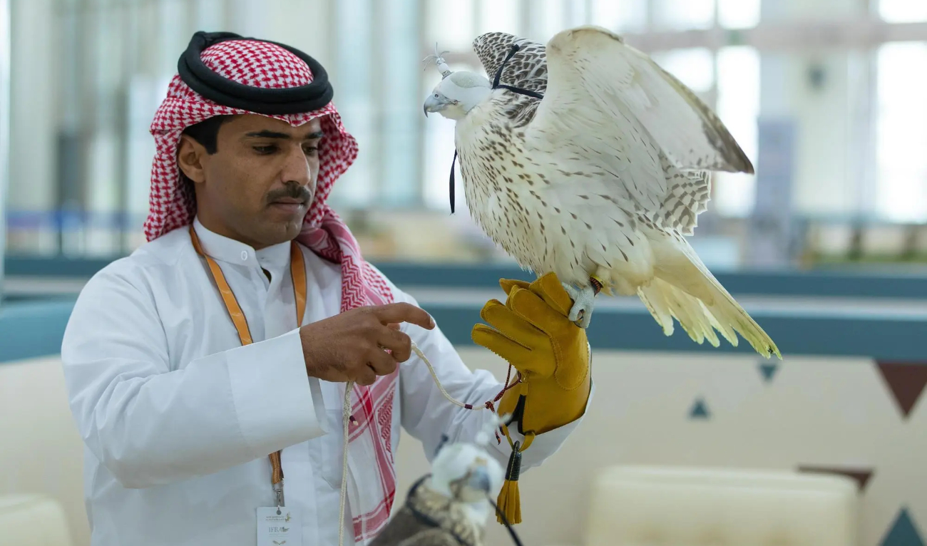 The event is organized by the Saudi Falcons Club, which said that it aims to promote the hobby of falconry with an exhibition about the birds, hunting and related activities. (SPA/File)