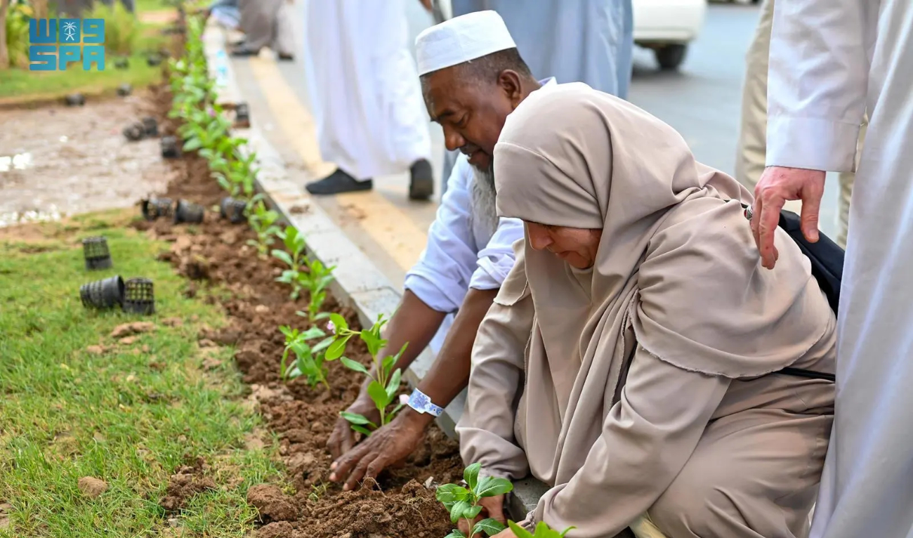 The “Here It Was Planted” plan has been welcomed by residents and visitors. (SPA)
