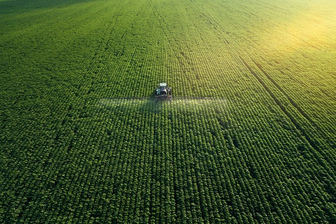 Algeria and Italy on Saturday signed a 420-million-euro deal ($455 million) for an agricultural project in the North African country, the Algerian agriculture ministry said in a statement. (Shutterstock/File)