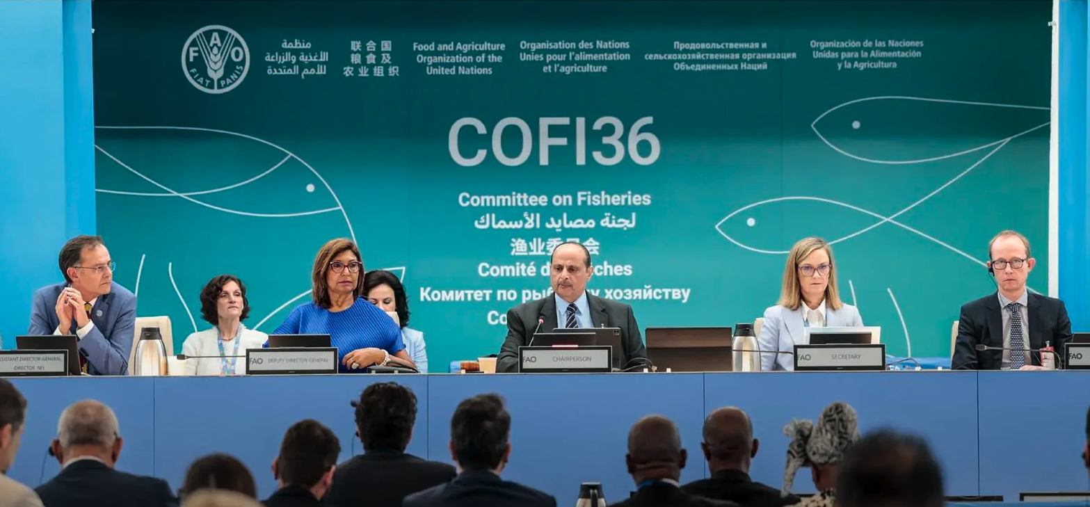 Saudi Arabia highlights efforts to develop fisheries sector during UN committee presidency