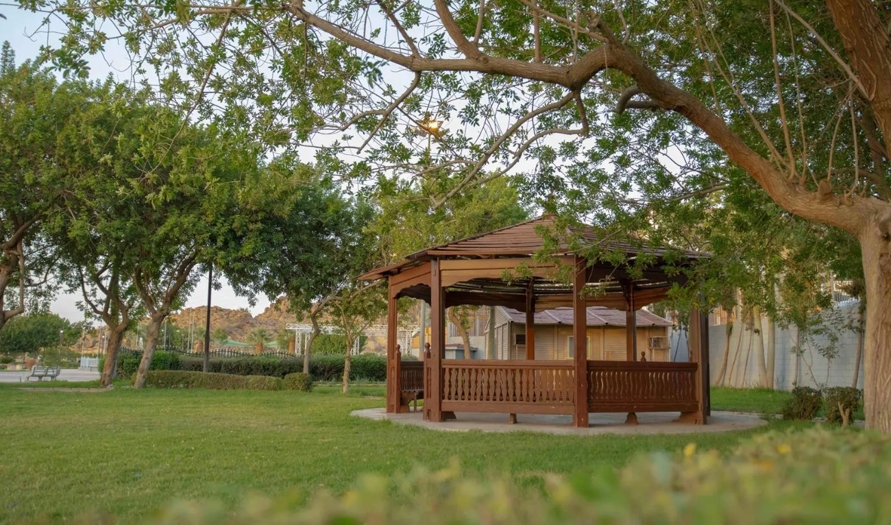 Thousands of trees have been planted as part of an afforestation program that aligns with the Saudi Green Initiative. (SPA)