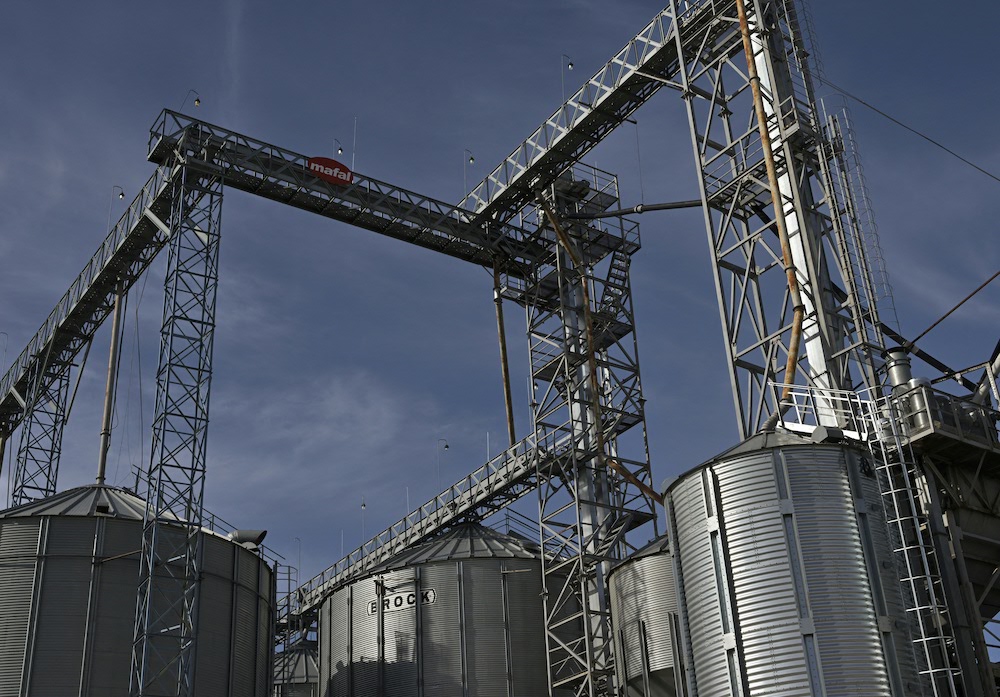 The Security Services of Ukraine claimed that the grain exported by Usko Mfu had been produced in southern Ukraine. (AFP file photo)