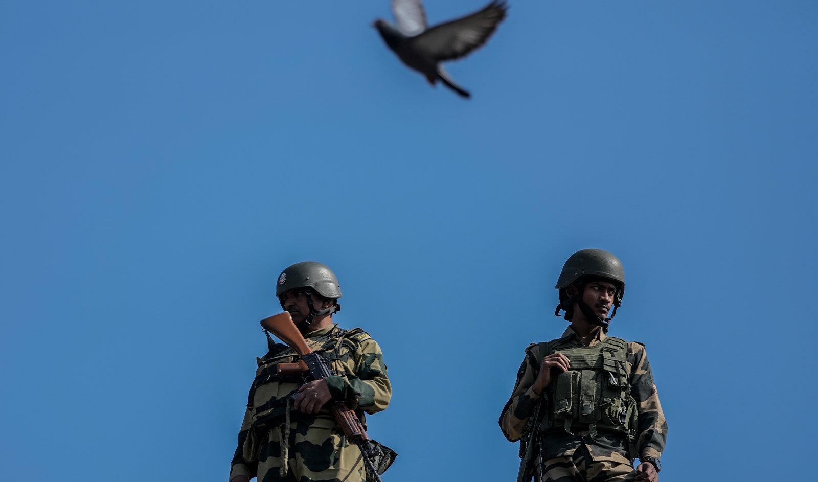 Indian paramilitary soldiers guard as a pigeon flies over them during a Muharram procession in Srinagar, Indian controlled Kashmir, on July 15, 2024. (AP)