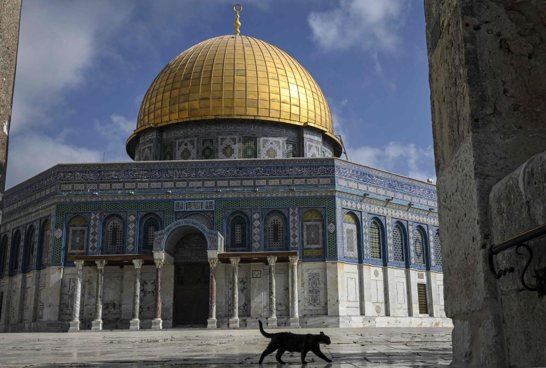 A cat walks near of the Dome of the Rock mosque inside the Al-Aqsa Mosque compound in Jerusalem. (File/AFP)