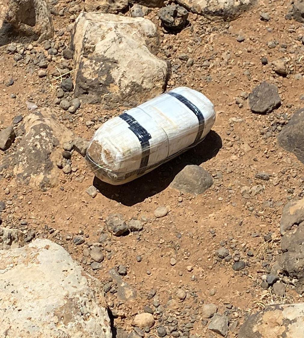 A military official said Saturday that forces shot down the drone inside Jordanian territory. (Petra)