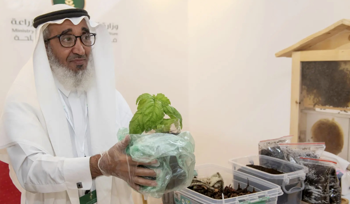 Baha farmer Mohammed Al-Shaer’s worm compost accelerates plant growth, enhances fruit production, and improves overall soil health. (SPA)