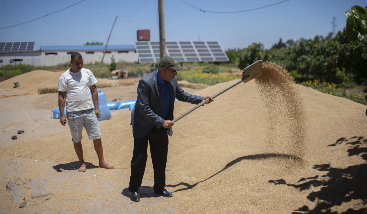 Abdelkrim Naaman, the chairman of the NGO Nalsya, right, advises a farmer on seeding, irrigation and drought mitigation, on a farm on the outskirts of Kenitra, Morocco, Friday, June 21, 2024. (AP)