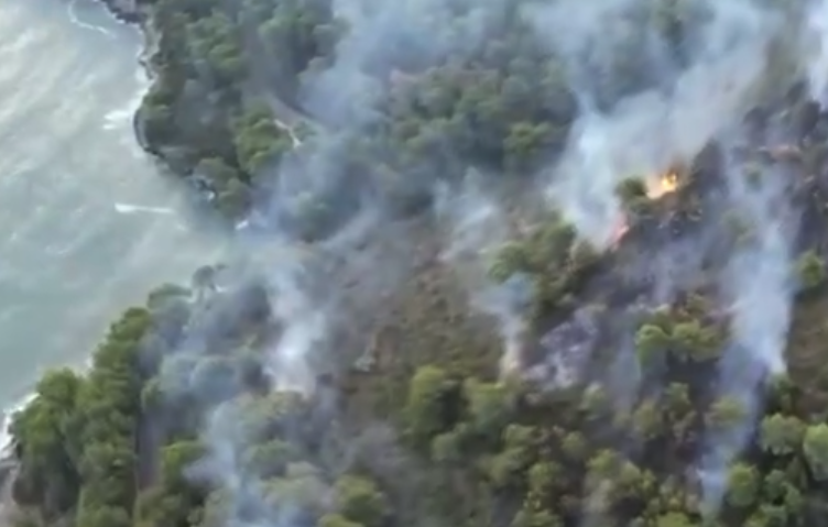 Around 1,000 tourists were evacuated on Wednesday after a wildfire broke out in the southern Italian region of Puglia, firefighters said. (X/@tempoweb)