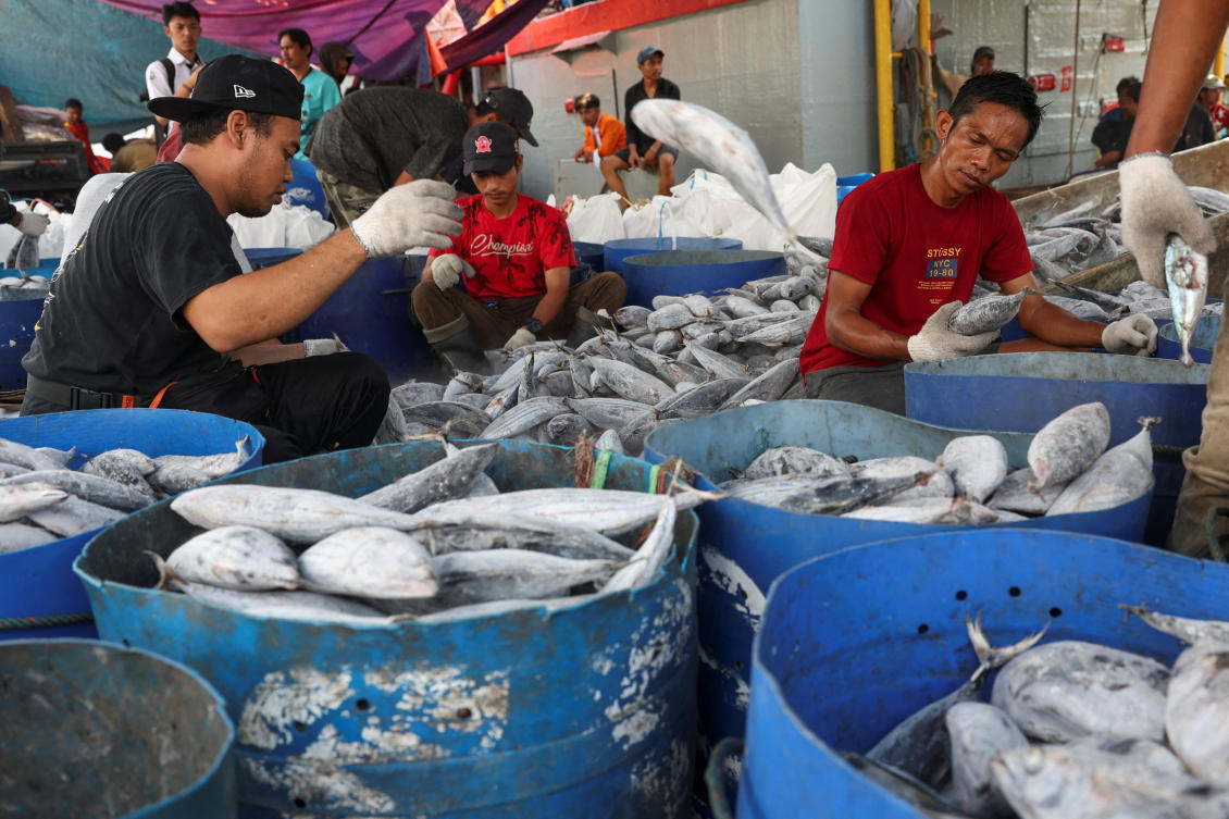 President Joko Widodo said the golden visa would ‘make it easier for foreign nationals to invest and contribute in Indonesia.’ Above, workers at a cold storage at the Nizam Zachman port in North Jakarta on July 22, 2024. (Reuters)