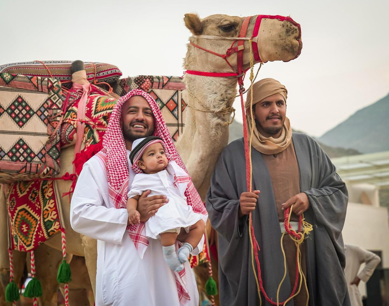 Camels have been integral to Arab life for centuries, serving as companions in every aspect of life. (SPA)
