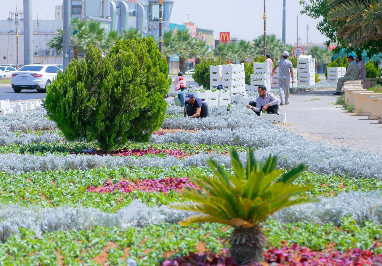 Tabuk is undergoing something of a facelift, thanks to the city municipality’s efforts to enhance the urban landscape through a number of revitalizing initiatives. (SPA)