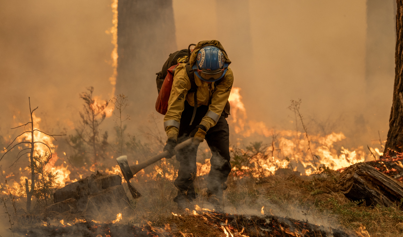 Flames quickly grow as firefighters set a backfire on the eastern front of the Park Fire, which has grown to 360,141 acres and is 12 percent contained, on July 28, 2024 near Chico, California. (AFP)