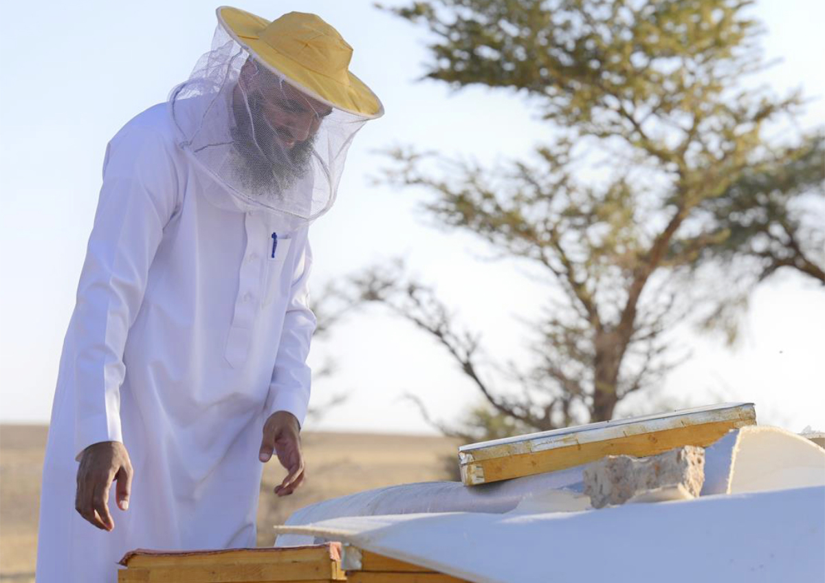 The authority aims to engage the local community in beekeeping and create job opportunities. (SPA)