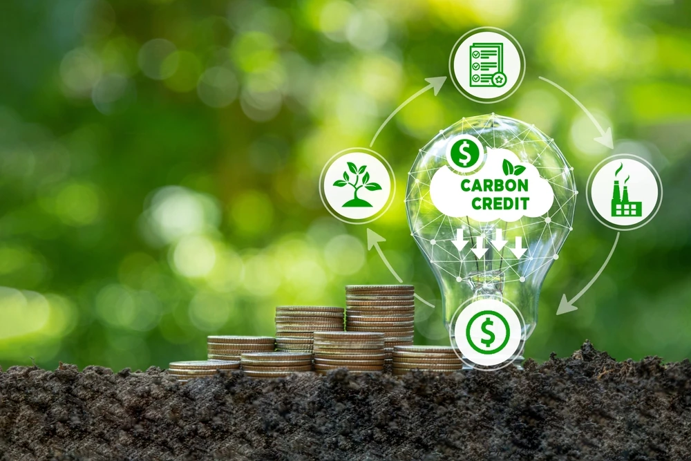A carbon credit, or offset credit, allows companies to emit a specific amount of carbon dioxide or other harmful gasses — with one credit the equivalent of 1 tonne of emissions. Shutterstock