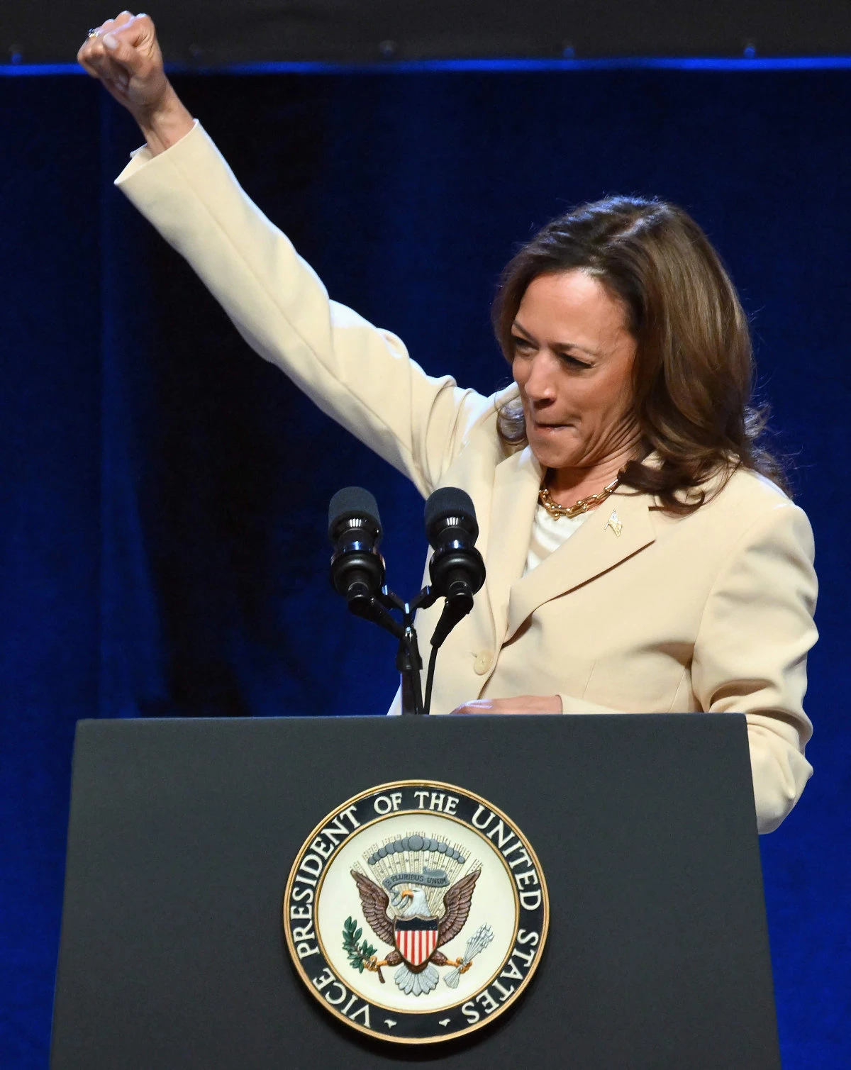 US Vice President Kamala Harris is engaged in a delicate balancing act, playing cheerleader for President Joe Biden while standing by as a leading contender to replace him if he ends his reelection bid. (AFP)