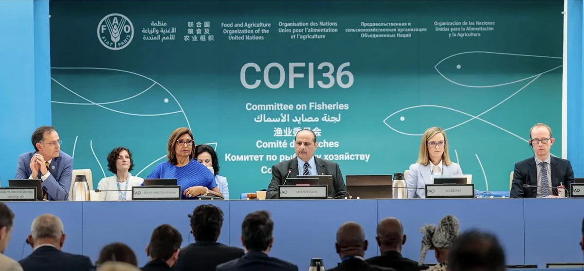 Saudi Arabia highlights efforts to develop fisheries sector during UN committee presidency