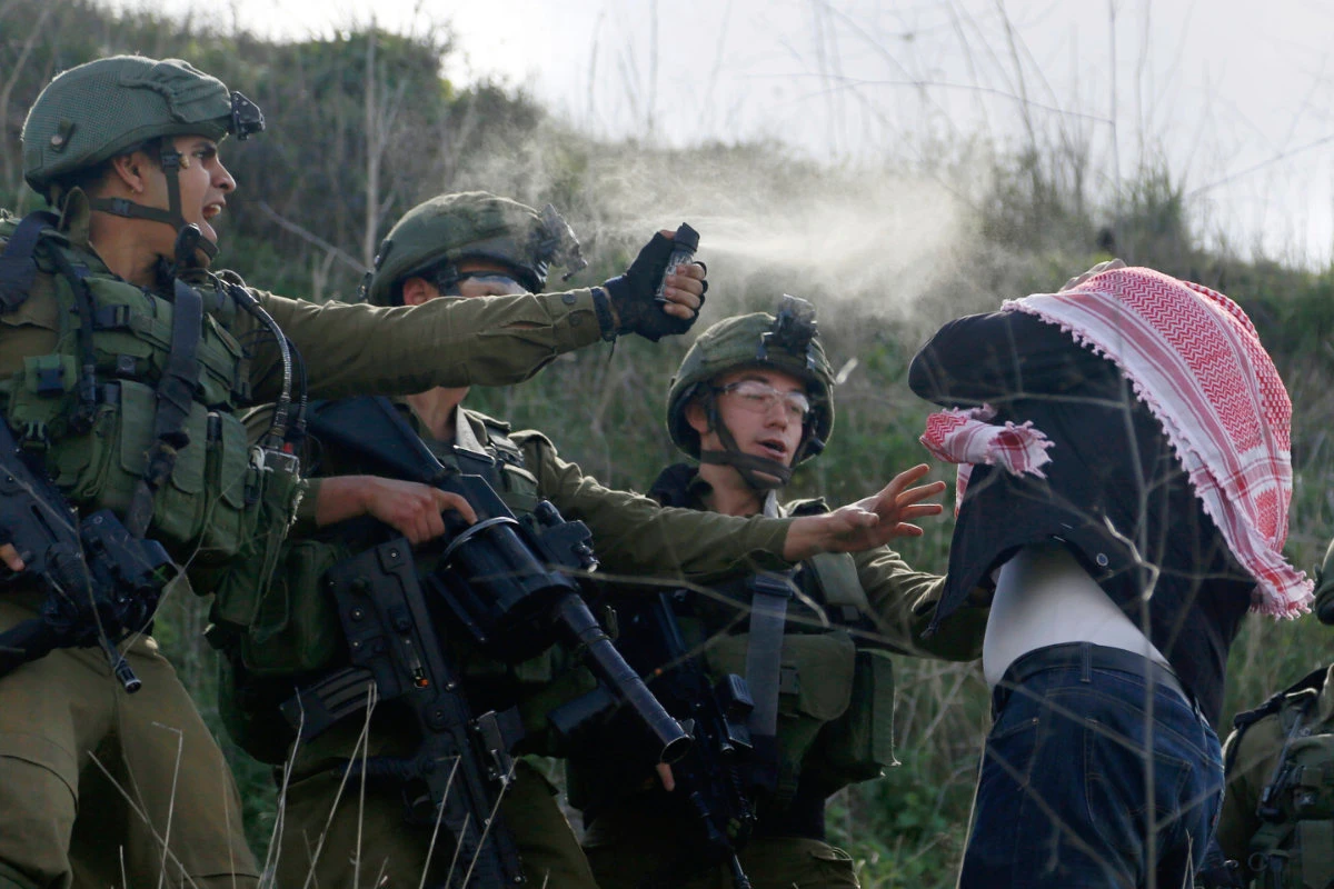 EU backs ICJ ruling on ‘illegal’ Israeli occupation