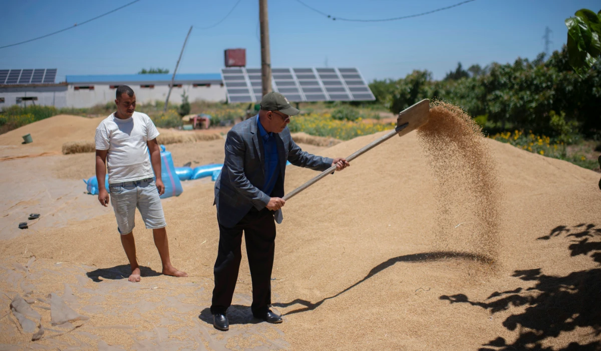 Abdelkrim Naaman, the chairman of the NGO Nalsya, right, advises a farmer on seeding, irrigation and drought mitigation, on a farm on the outskirts of Kenitra, Morocco, Friday, June 21, 2024. (AP)