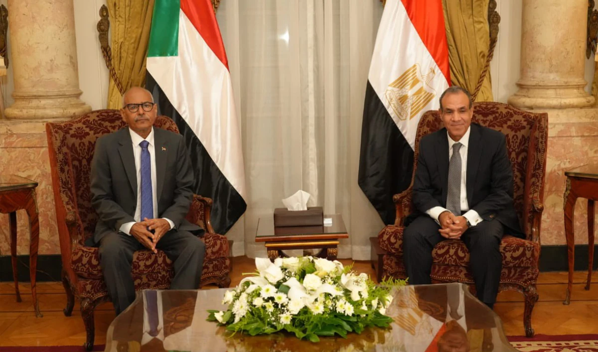 Other topics for discussion included wider bilateral ties and ways in which coordination between the countries might be enhanced. (X:@MfaEgypt)