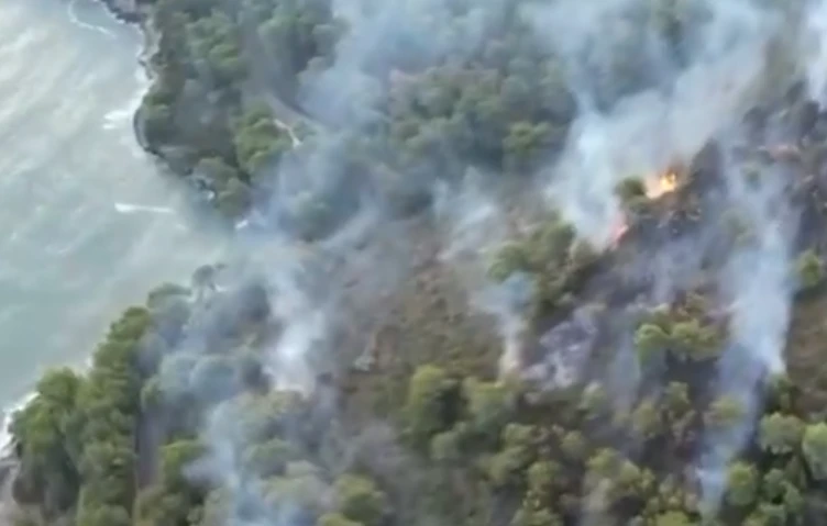 Around 1,000 tourists were evacuated on Wednesday after a wildfire broke out in the southern Italian region of Puglia, firefighters said. (X/@tempoweb)