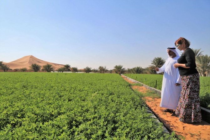 An International Center for Biosaline Agriculture (ICBA) scientist advises a farm owner, in the Al Wagan area, near Al-Ain, UAE. (File/Reuters)