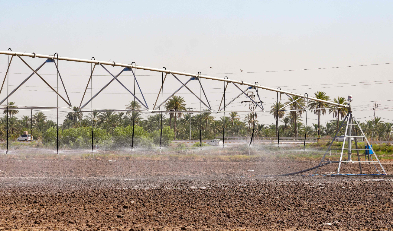 Sprinklers irrigate a rice field in Mishkhab in Iraq's Najaf province on July 8, 2024. (AFP/File)