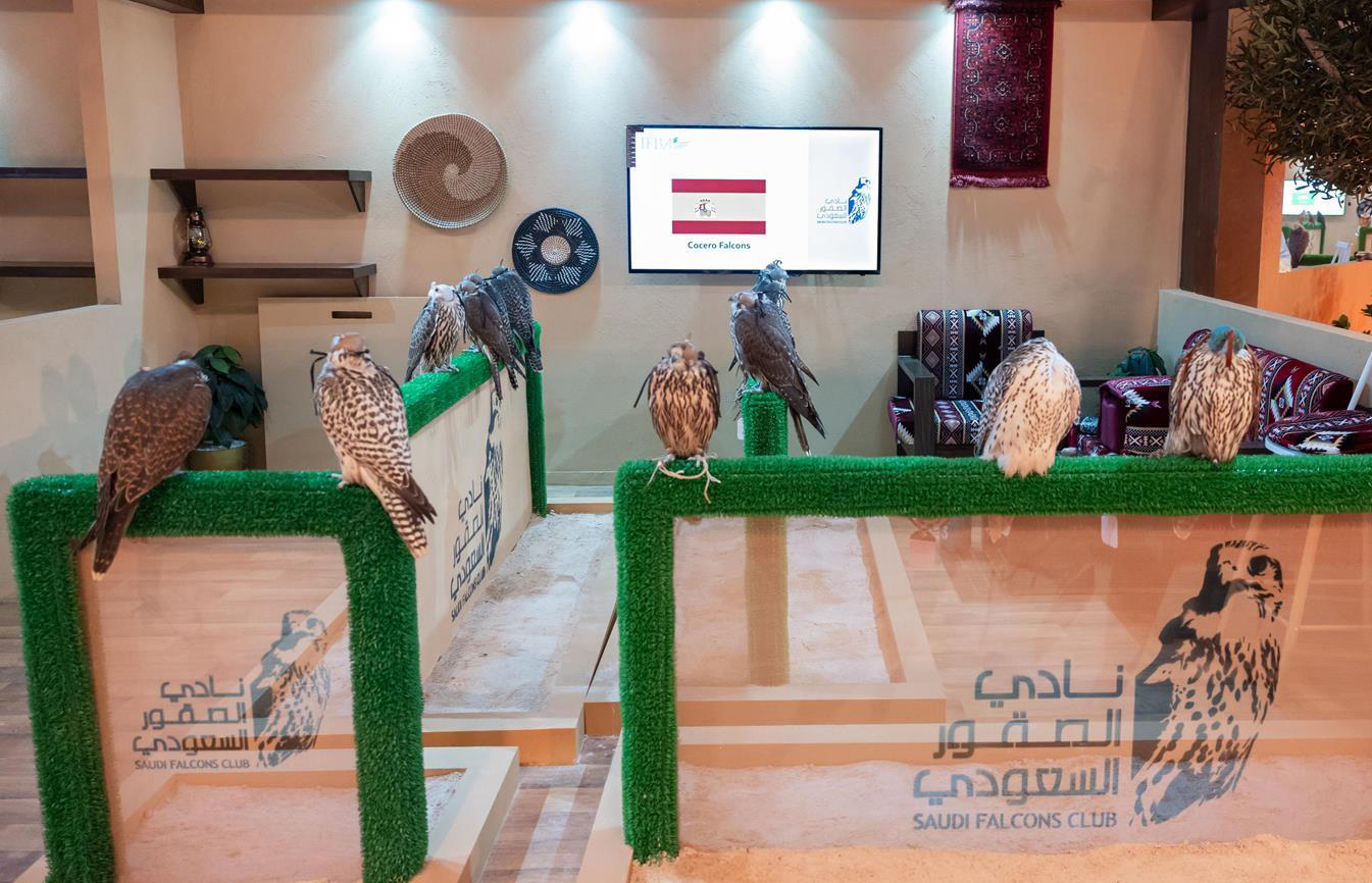 This year has already seen the sale of the world’s most expensive falcon (SPA)