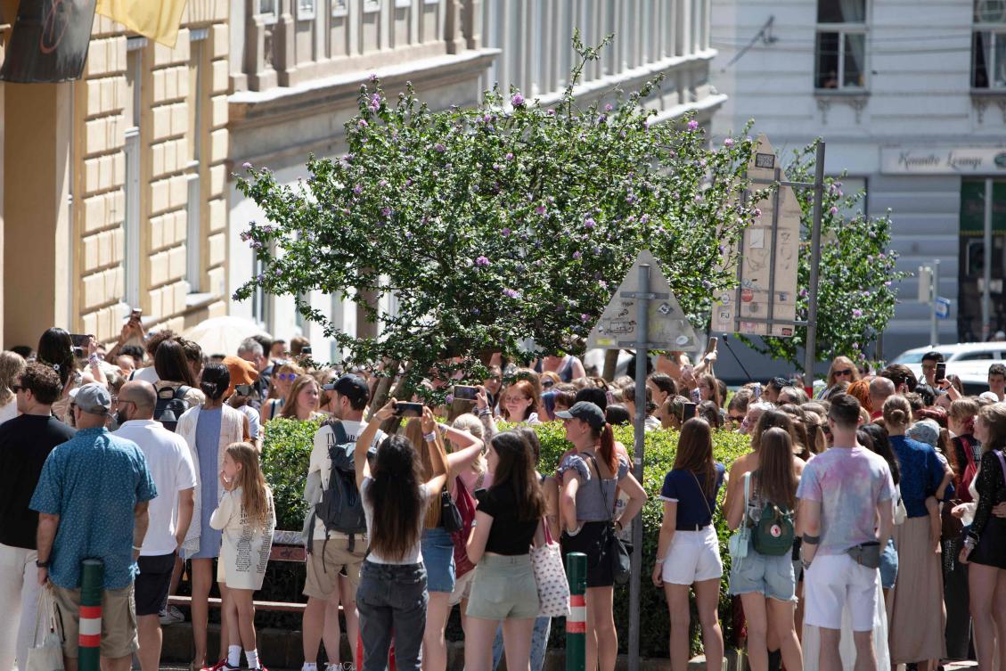 Fans of US singer Taylor Swift — swifties — stand and sing around the Swiftie Tree in Cornelius Strasse street in Vienna on August 8, 2024. (AFP)