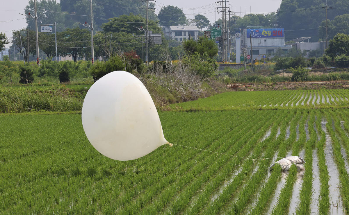 A balloon presumably sent by North Korea, is seen in a paddy field in Incheon, South Korea. (File/AP)