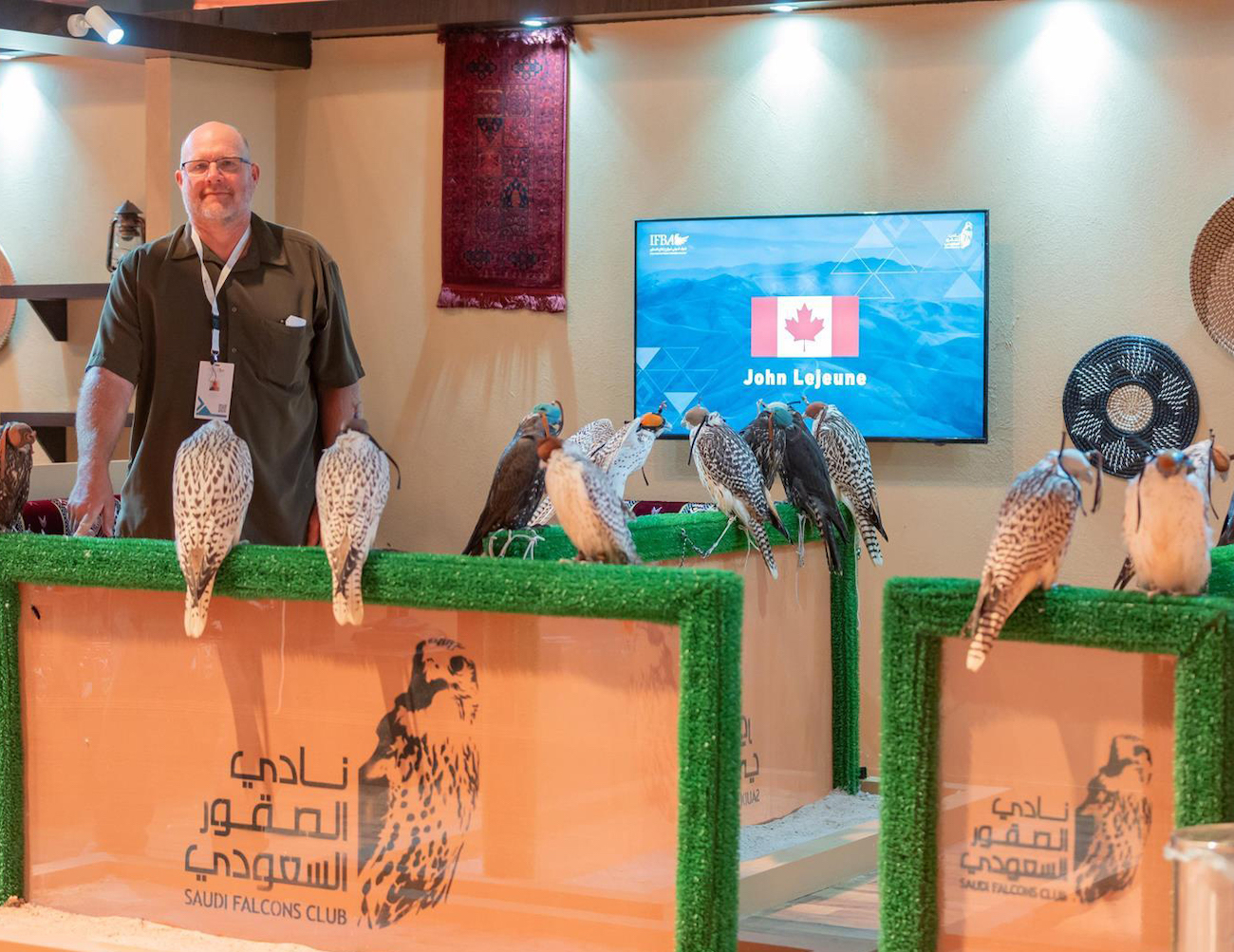 Canadian falcon farm joins Riyadh auction