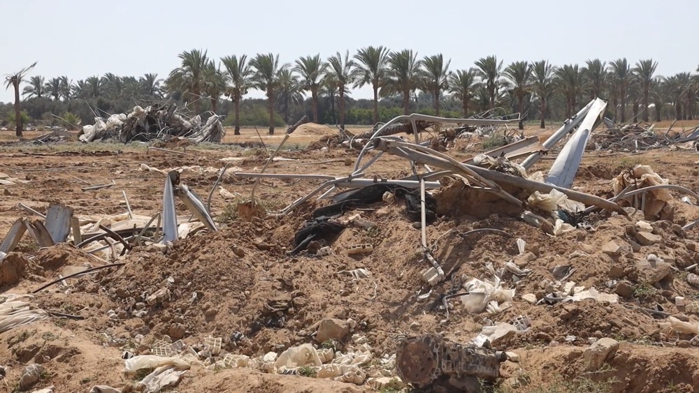 The conflict between Israel and the Palestinian militant group Hamas has all but destroyed Gaza’s agrifood system. (FAO)