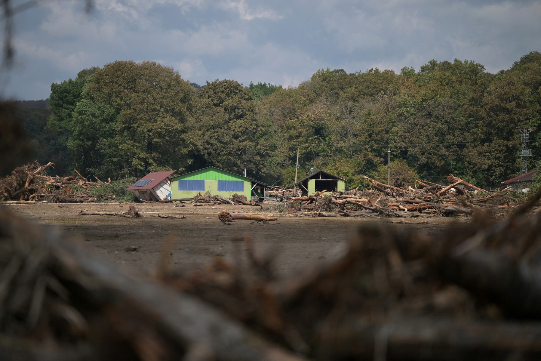 Uprooted trees are piled up next to destroyed bungalows as rescue teams search for a missing person after a flood hit bungalow homes in the Igneada district of Kirklarel, on September 7, 2023. (AFP)