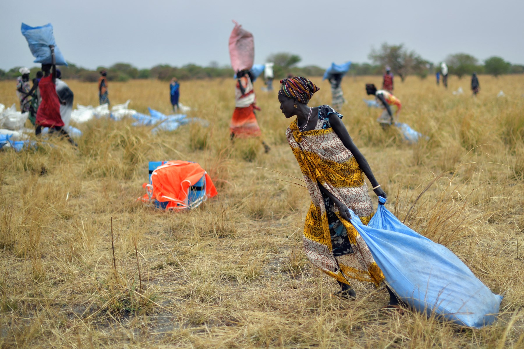 Villagers collect food aid dropped from a plane in gunny bags from a plane onto a drop zone at a village in Ayod county, South Sudan, where World Food Programme (WFP) have just carried out an food drop of grain and supplementary aid (AFP)