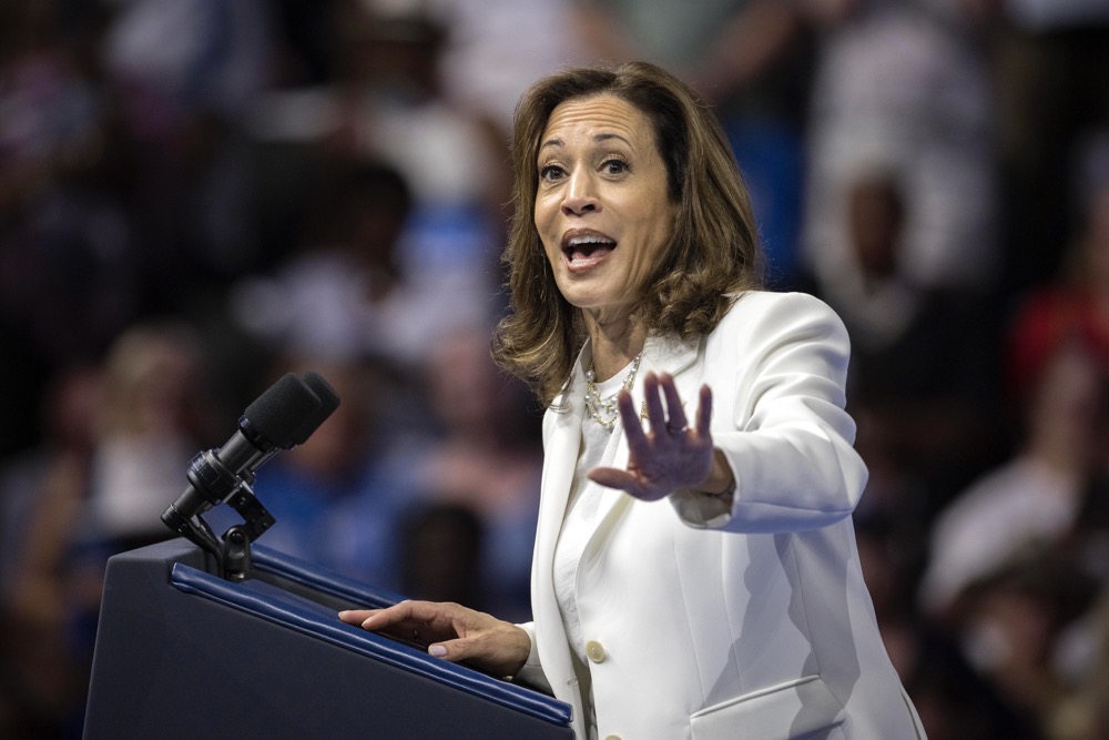 Democratic presidential nominee Vice President Kamala Harris. (AP)