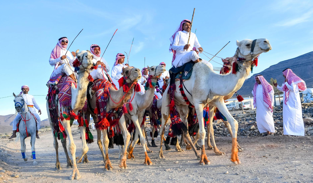 Camel leather could contribute revenue of up to $98.7 million per annum for the Saudi economy. (SPA)