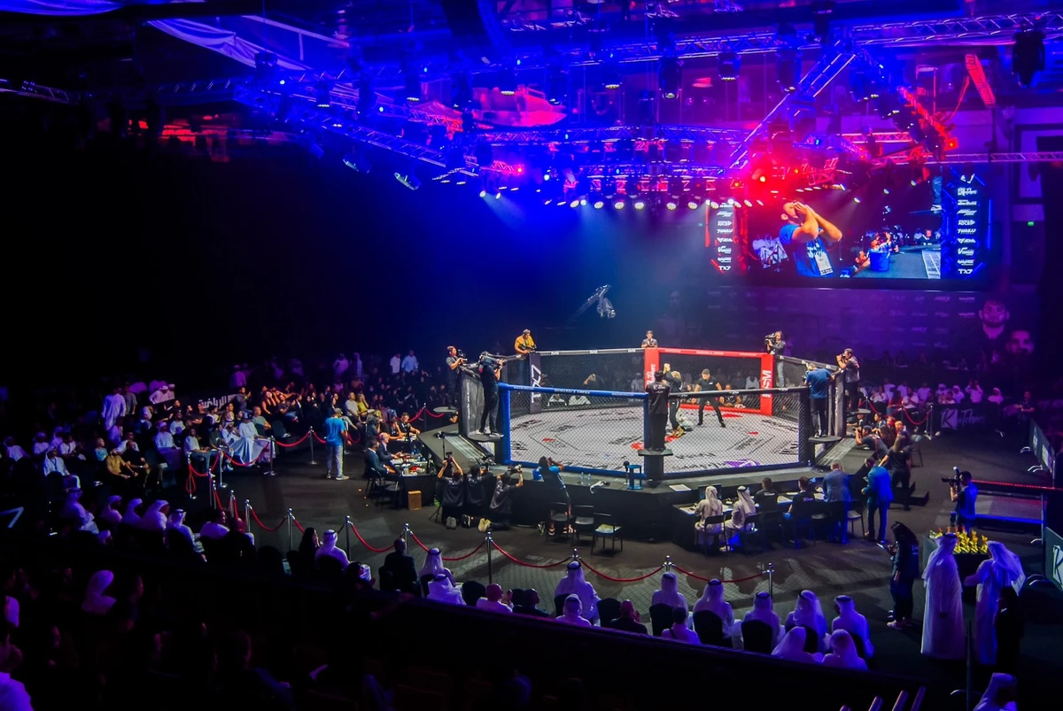 Fight night (X/@adxc_official)