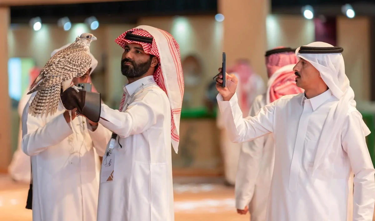 The facilities provided by the Saudi Falcons Club to breeders have made a significant contribution to their work. (SPA)