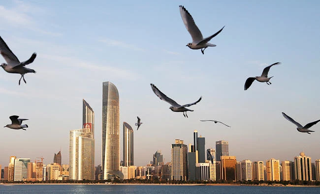 Seagulls fly over the city skyline in Abu Dhabi, United Arab Emirates, in this file photo. (File/AP)