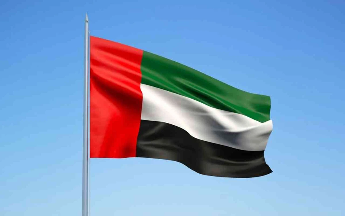 The law aims to accelerate the process of resolving disputes between the parties involved and will transfer the jurisdiction of such cases from the Court of Appeal to the Court of First Instance. (WAM)
